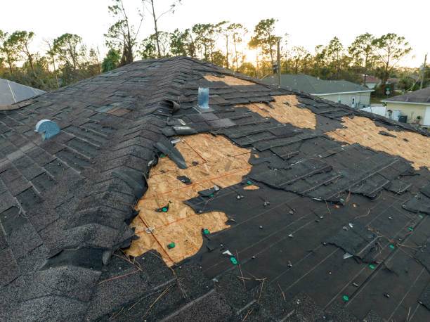 Roof Moss and Algae Removal in Edisto, SC